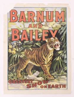 Barry Anderson